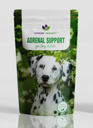 adrenal support