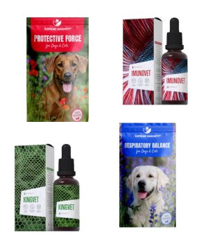 Légzőszervi betegségek (4)