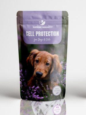 CELL PROTECTION