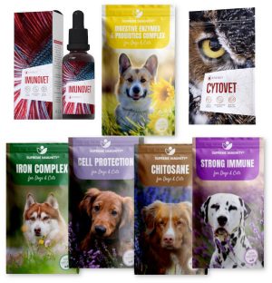 Sejt regeneráló II. (7)