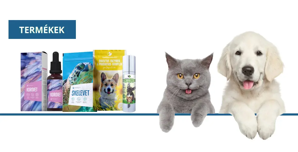 kutya macska termekek