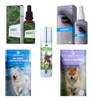 Mozgásszervi  I. (5)