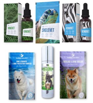 Mozgásszervi II. (6)