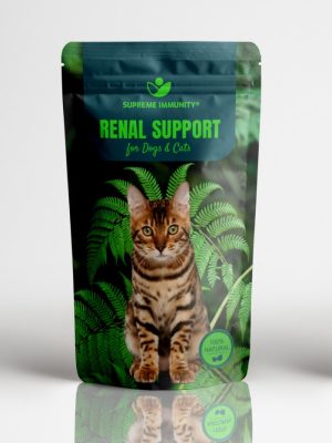 RENAL SUPPORT