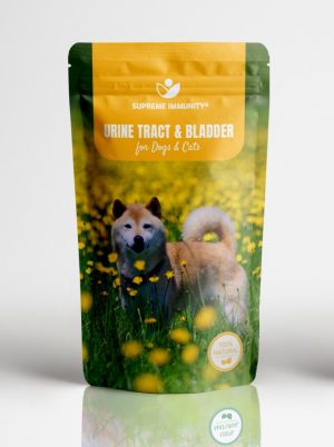 URINE TRACT & BLADDER